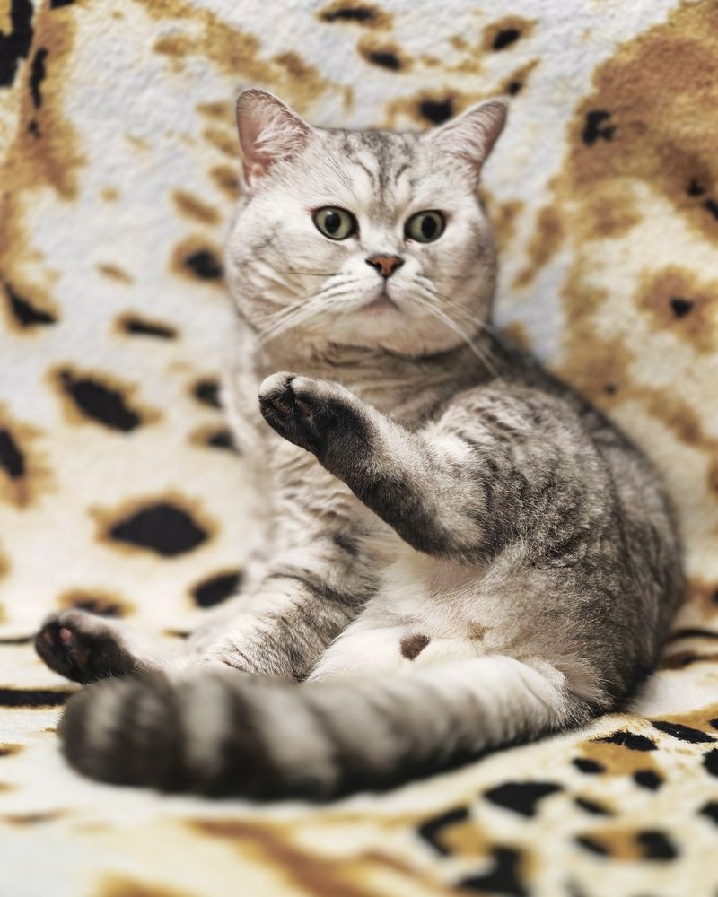 Photograph by Татьяна Борисовская