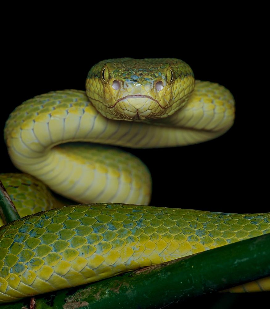 Photograph by Hardeep Solanki