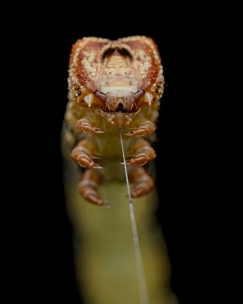 Photograph by Hardeep Solanki