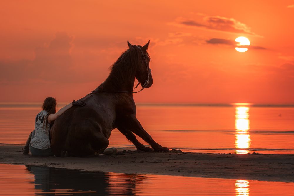 Photograph by Зубкова Юлия