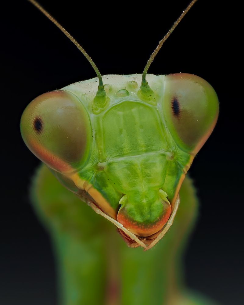 Photograph by Hardeep Solanki