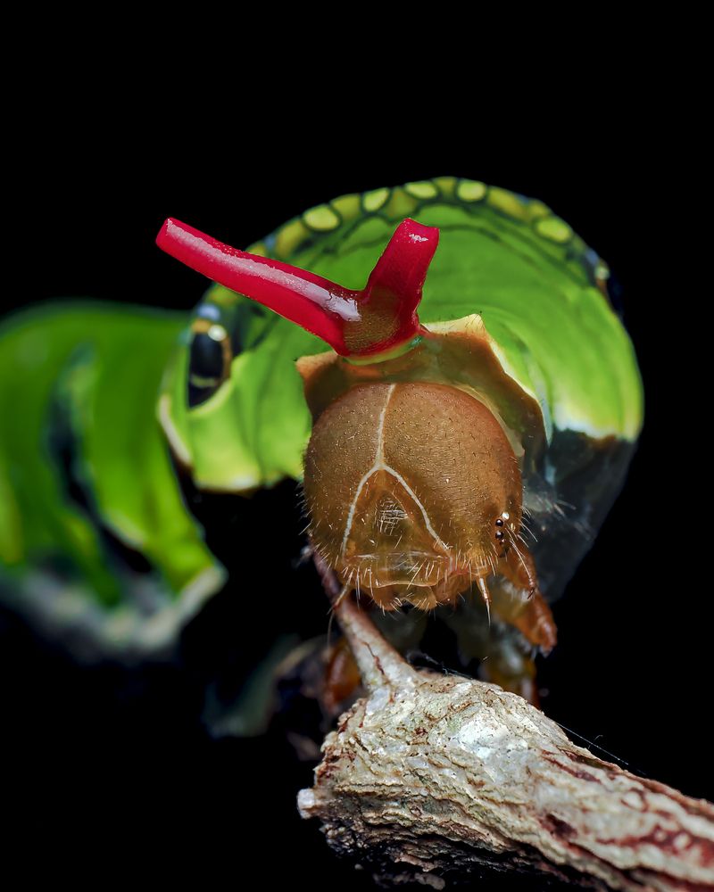 Photograph by Hardeep Solanki