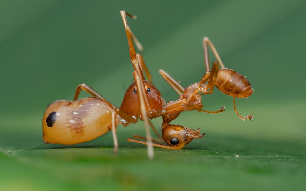 Photograph by Hardeep Solanki