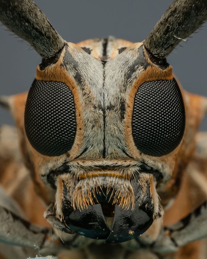 Photograph by Hardeep Solanki