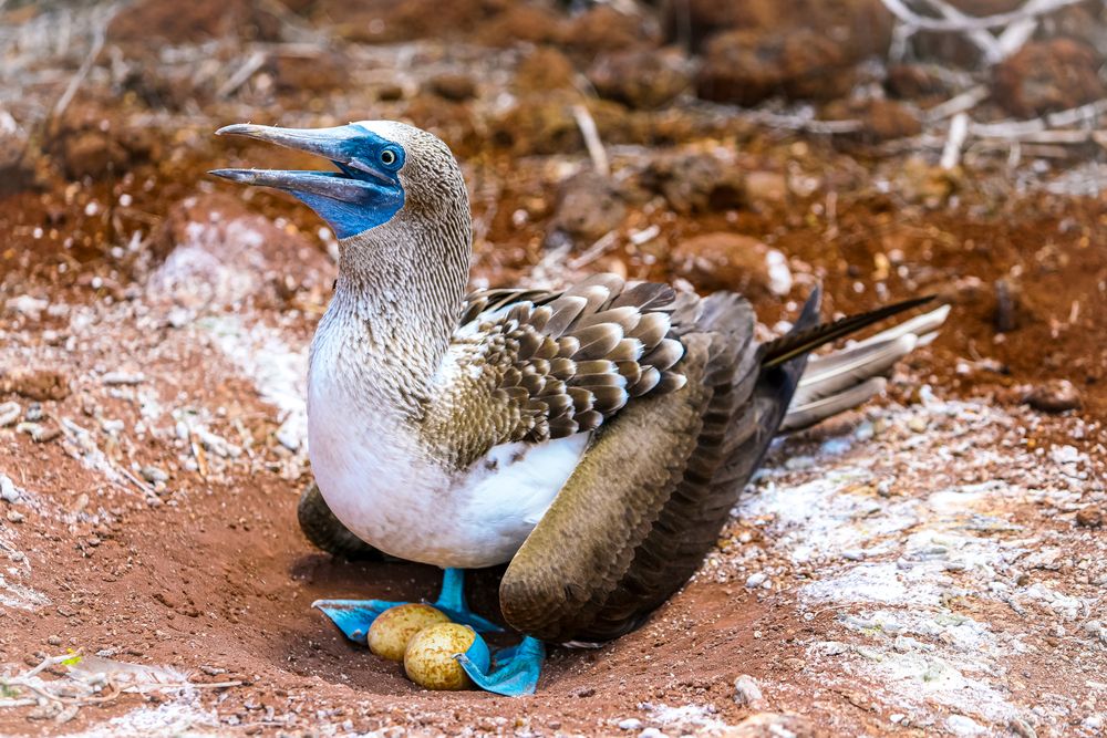 Photograph by Vita Potomova