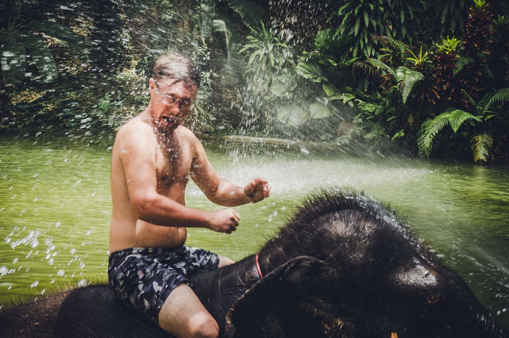 Фотография автора Юлия Подлеснова