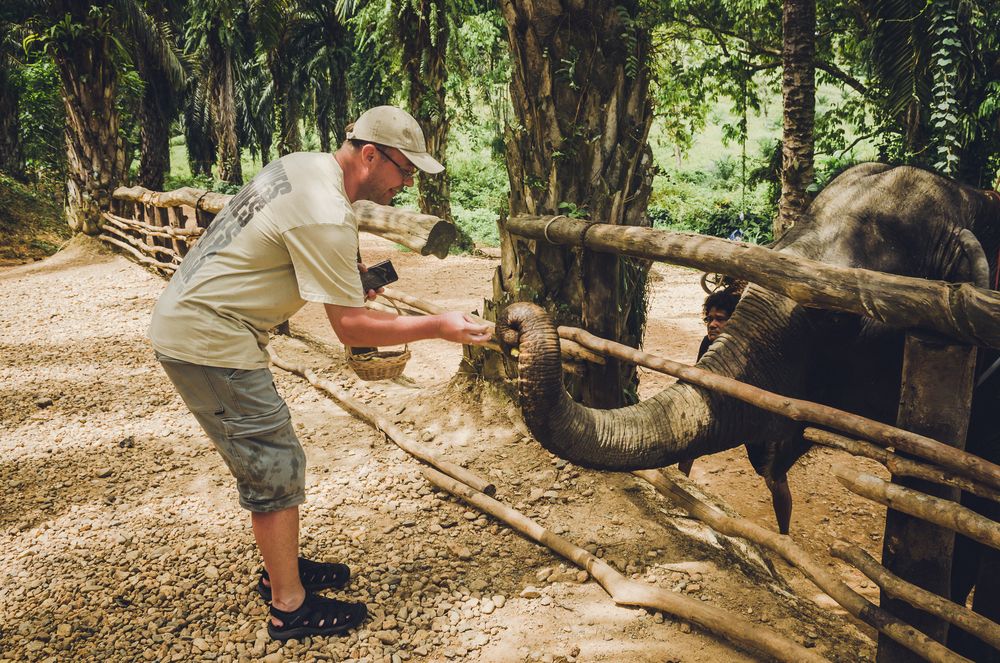 Фотография автора Юлия Подлеснова
