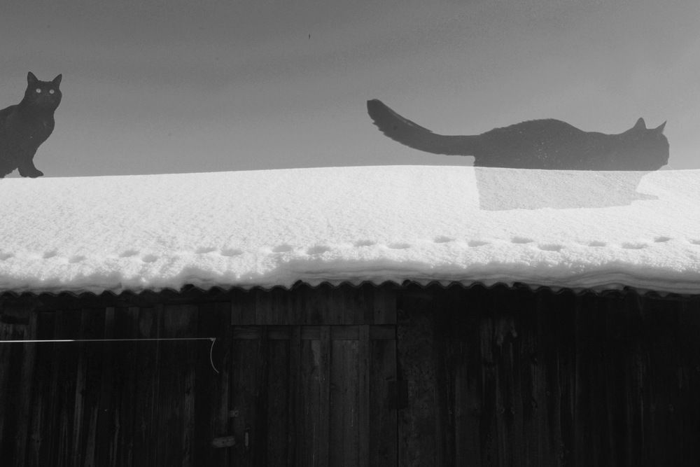 Фотография автора Наталья Мыкольникова