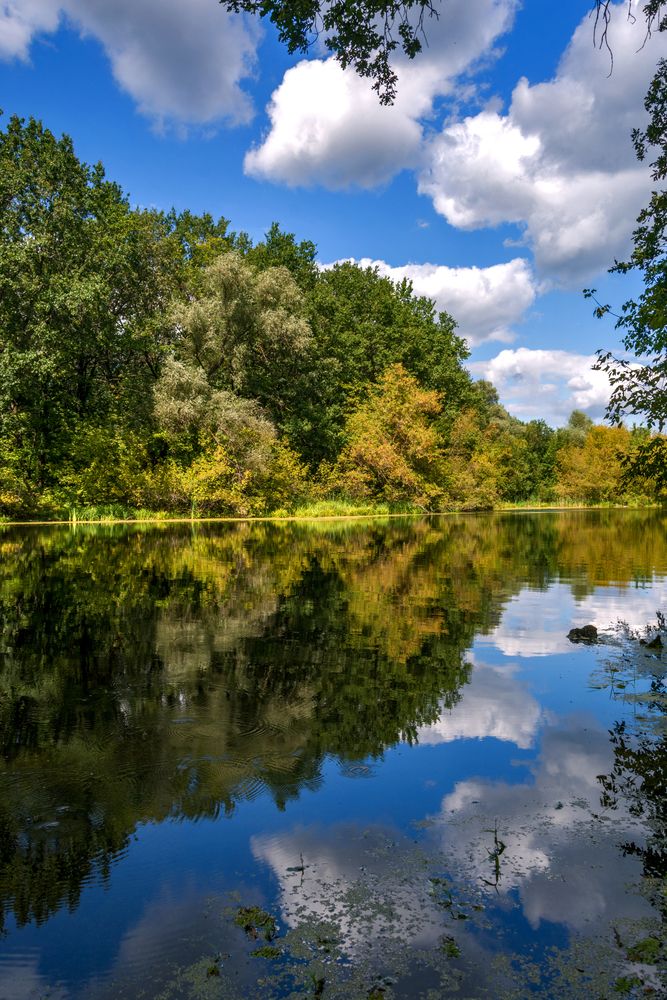 Летний день