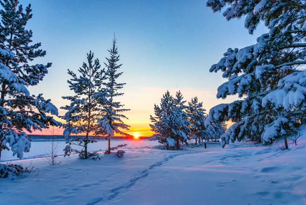 Photograph by Саргылана Прокопьева