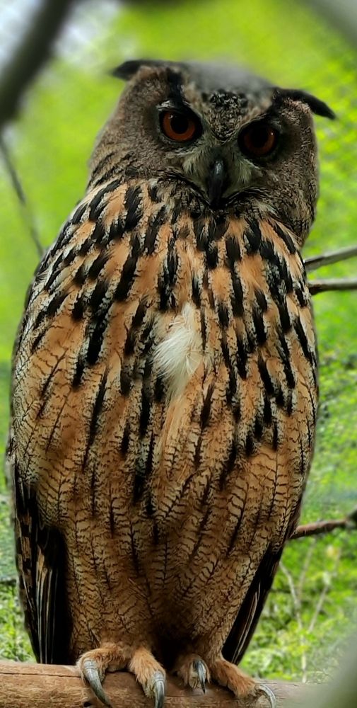 Photograph by Наталия Колесникова