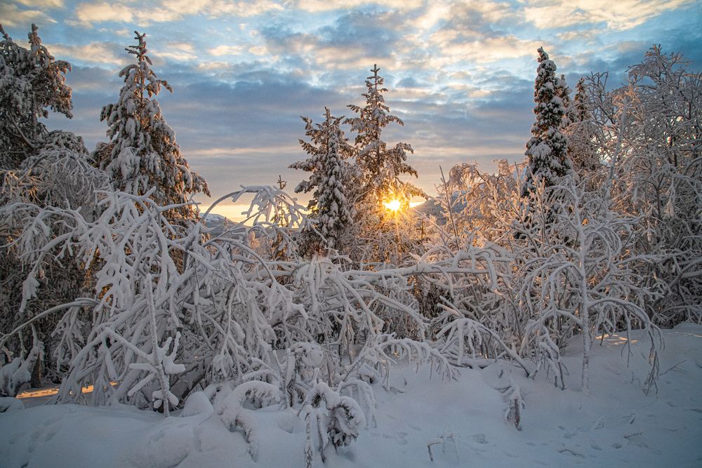 Photograph by Юрий Платухин