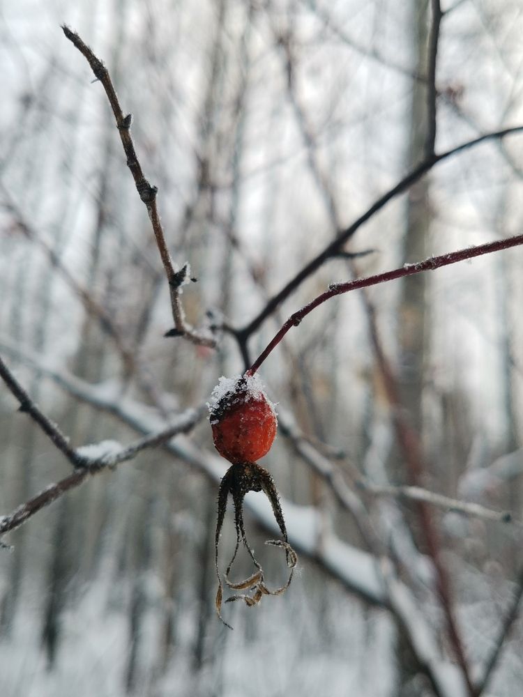 Photograph by Oxana Kostsova