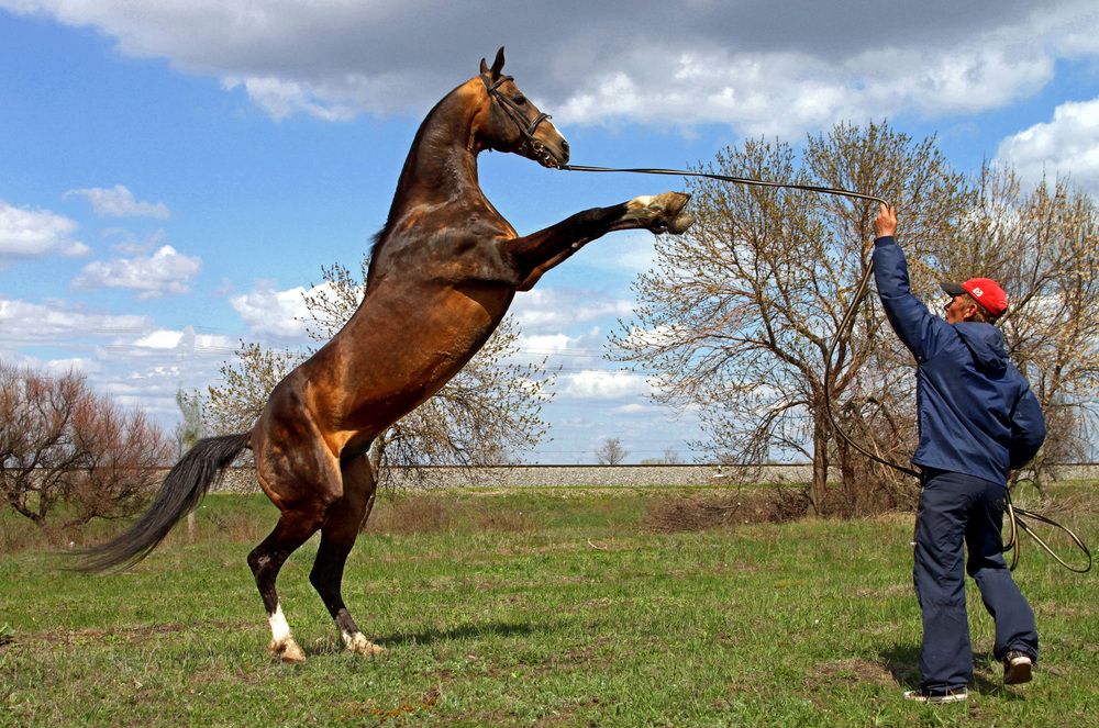 Photograph by Елена Маракулина