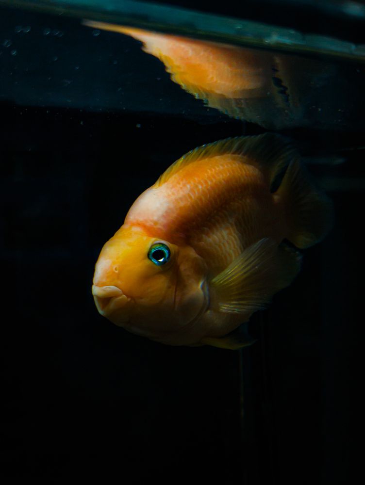 Photograph by Егор Бартошук