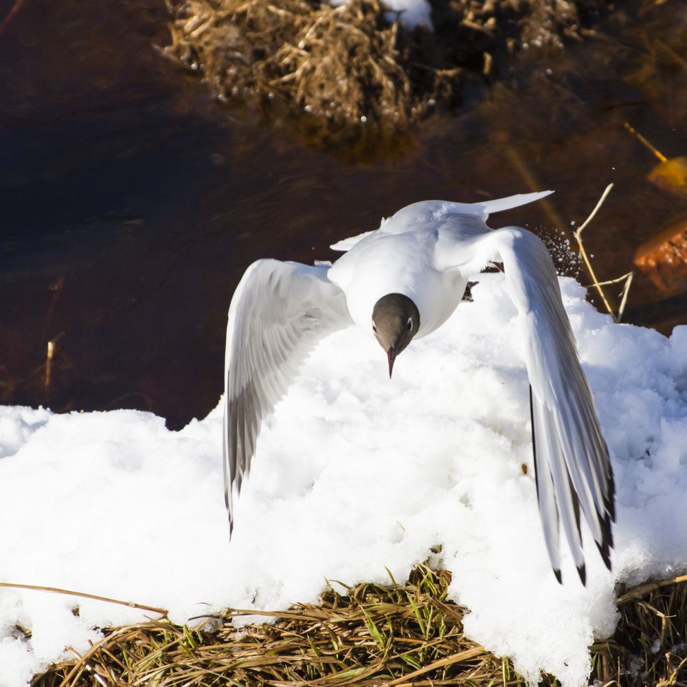 Photograph by Pavel Gukov