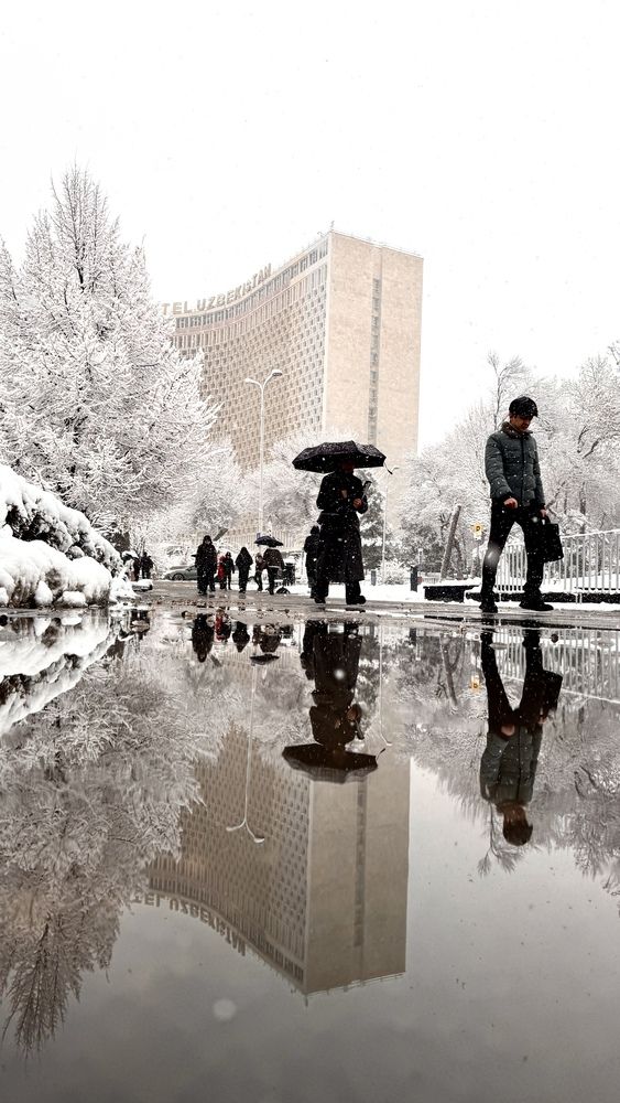 Фотография автора Юлия Голубкова