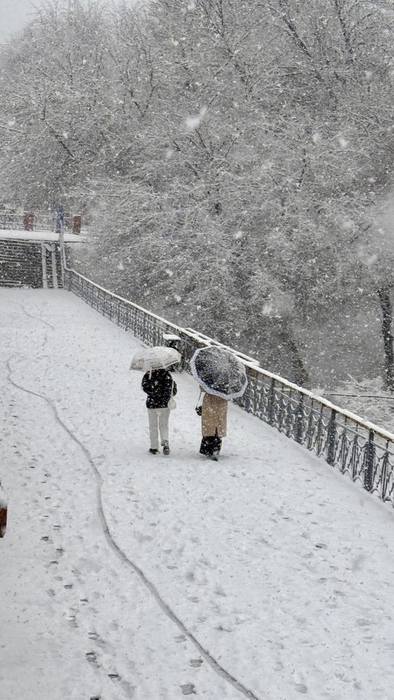 Фотография автора Юлия Голубкова