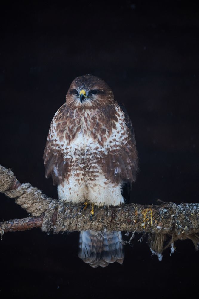 Photograph by Александр