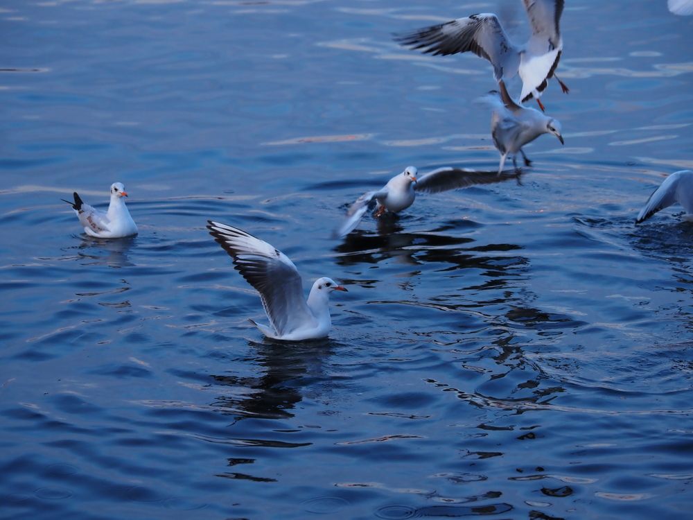 Photograph by Сергей Борисов