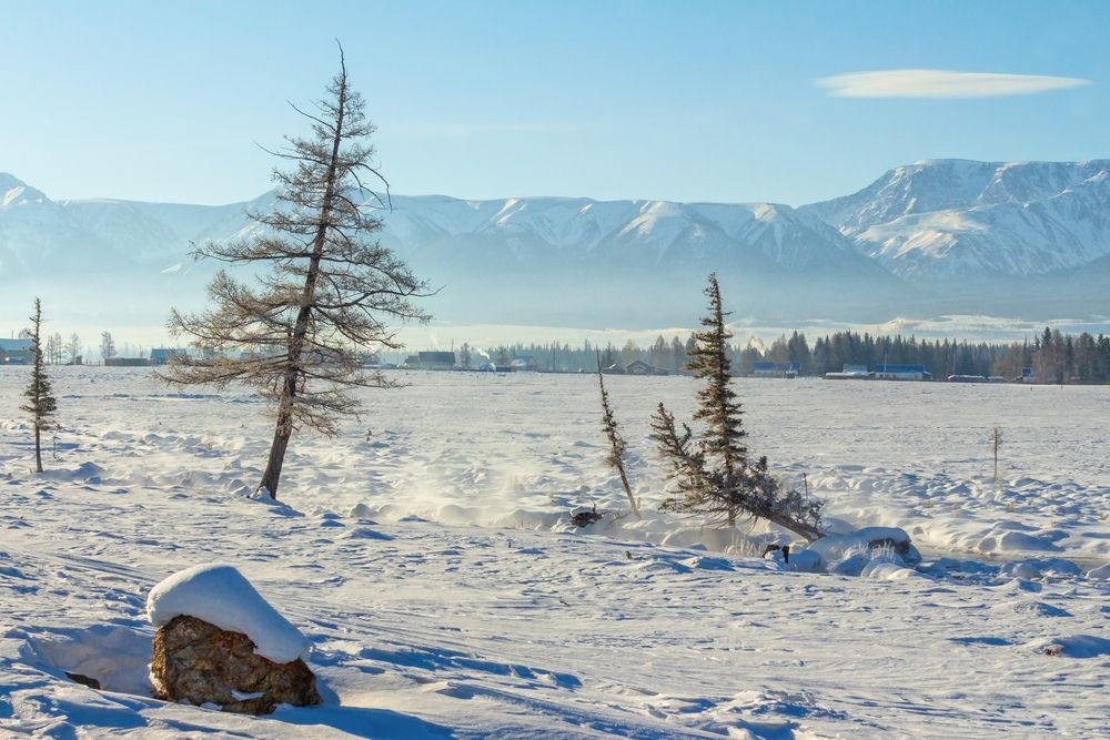 Зимний Курай.