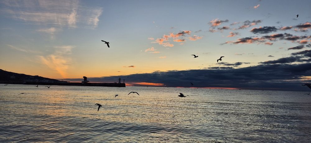 Photograph by Ольга Мусина