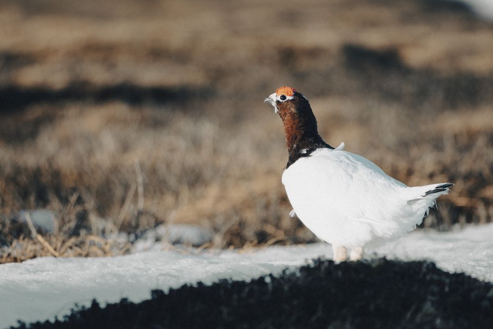 Photograph by Дмитрий Рындин