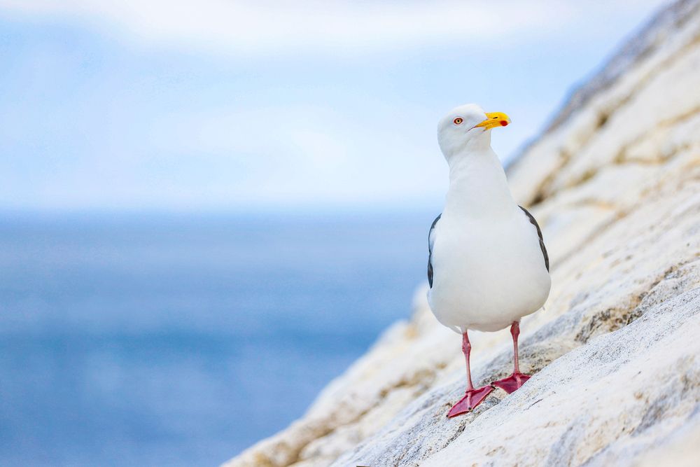 Photograph by Дмитрий Рындин