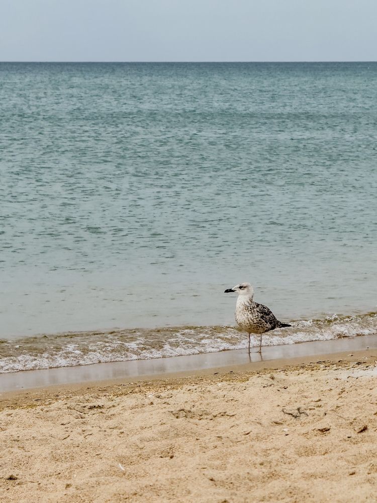 Photograph by Ekaterina Slepneva