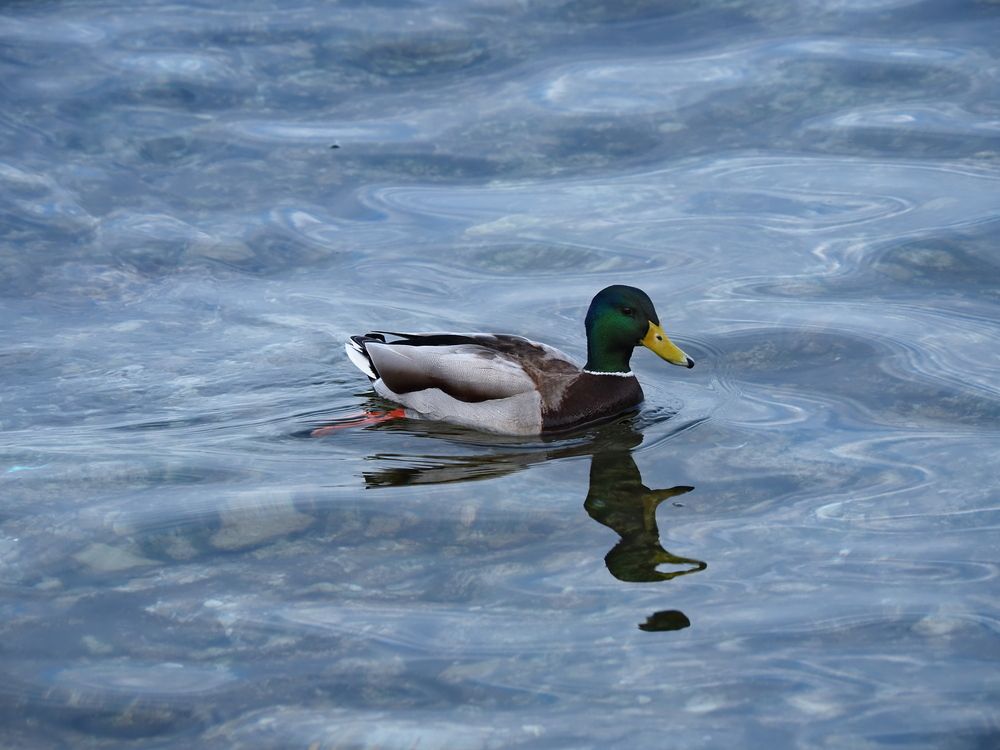 Photograph by Сергей Борисов