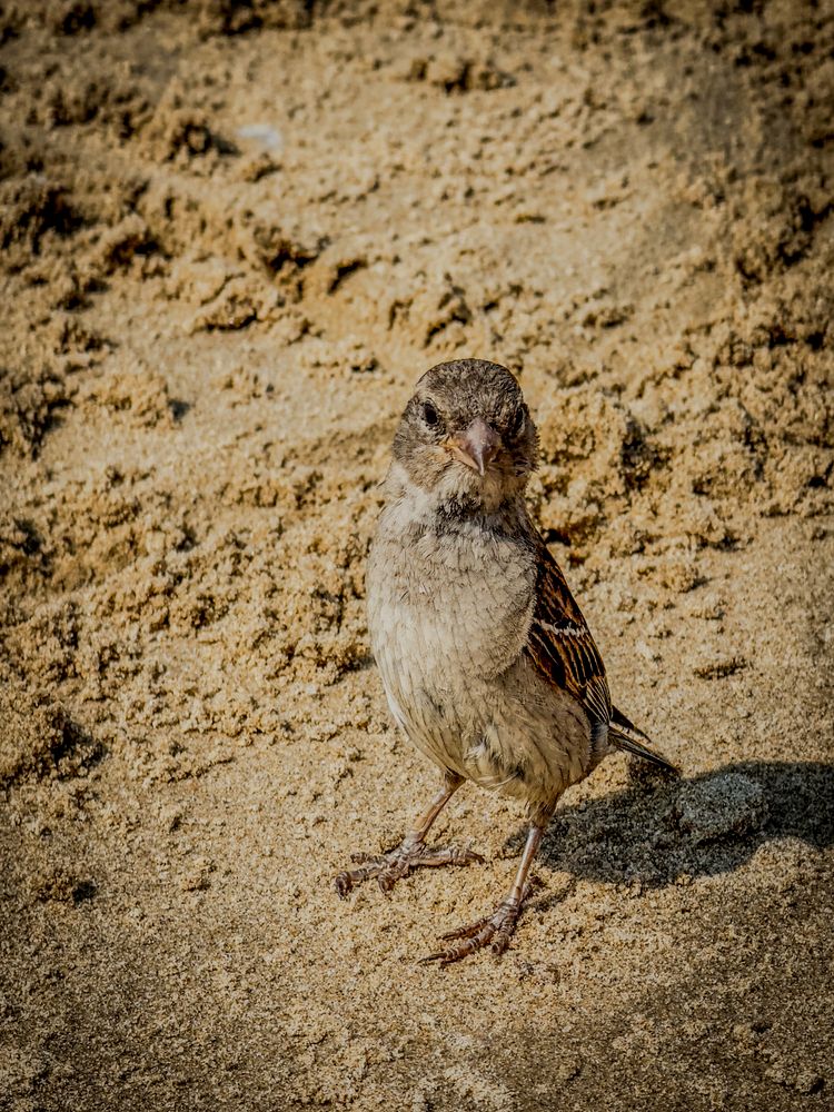 Photograph by Ekaterina Slepneva