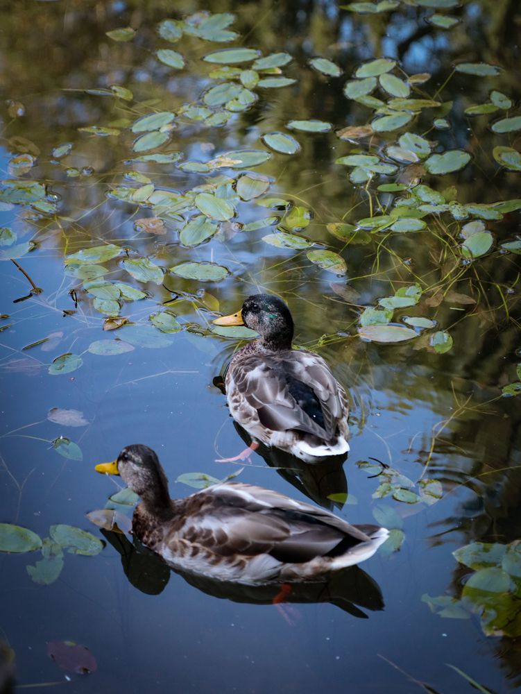 Photograph by Ekaterina Slepneva