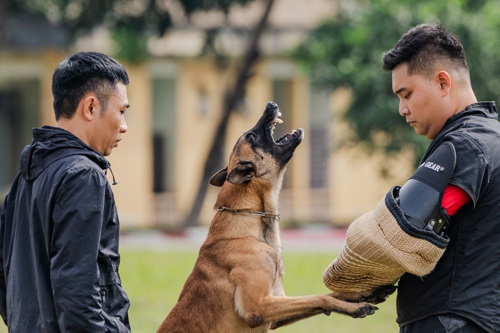 Photograph by Сергей Жиркевич