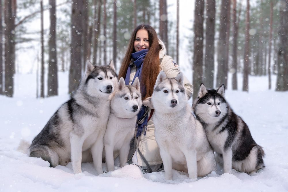 Фотография автора Наталья Якушонок