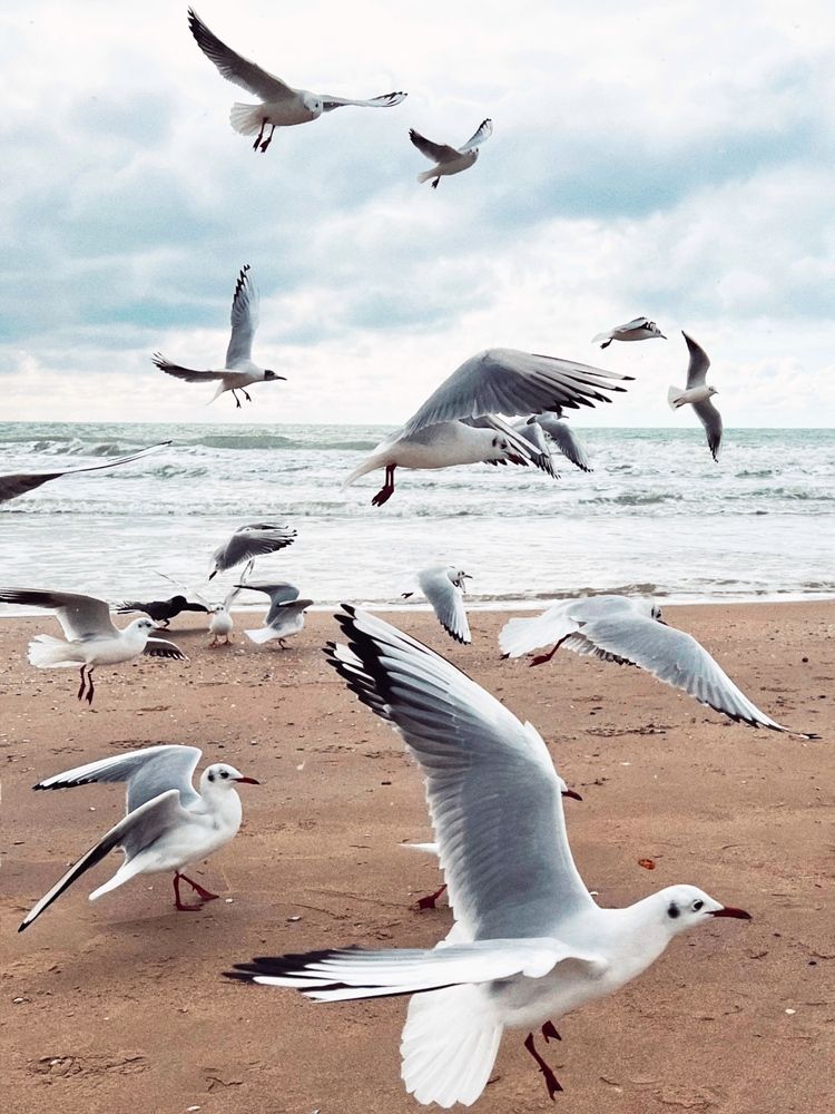 Photograph by Яна Сел