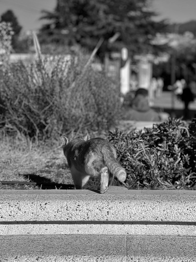 Photograph by Яна Сел