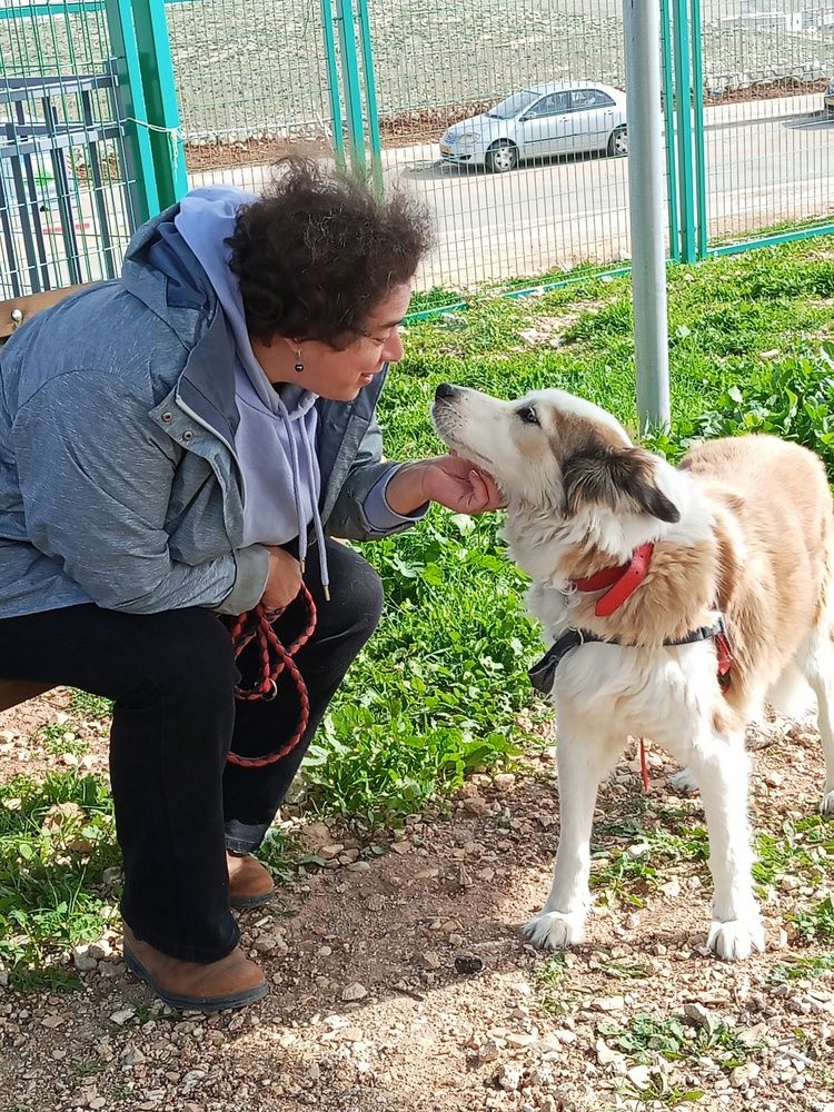 Photo #13146124