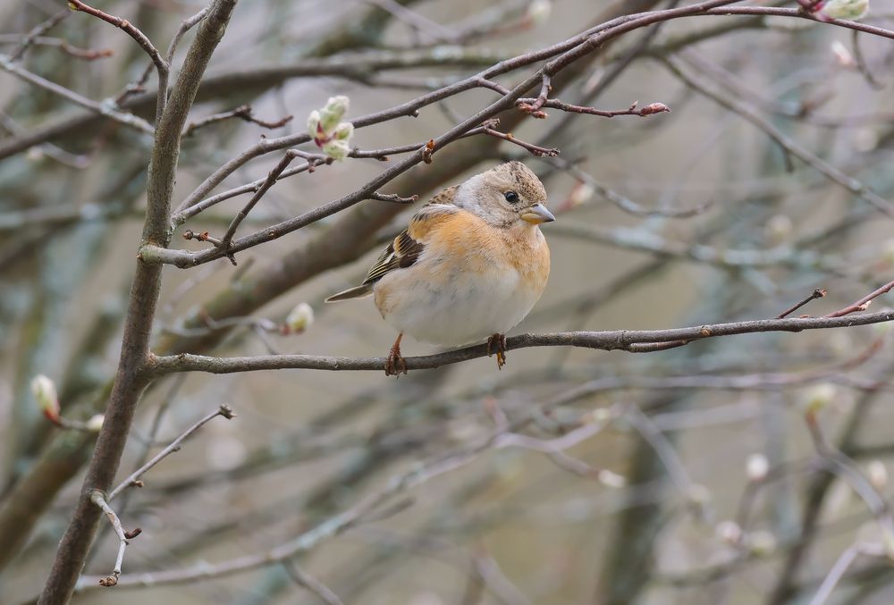 Photograph by Надежда Кангина