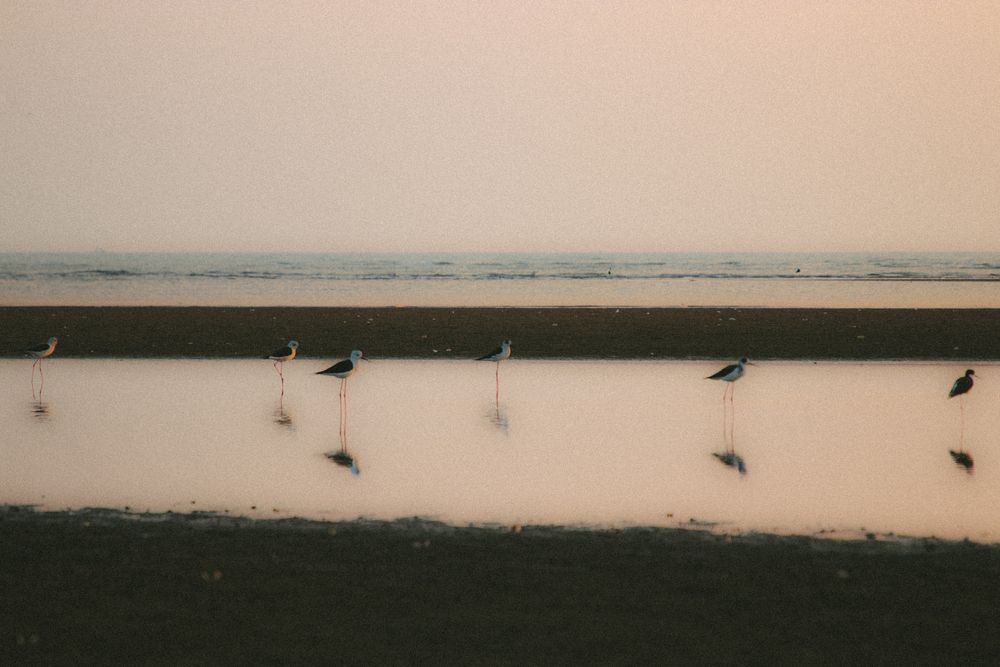 Photograph by Taha heydari