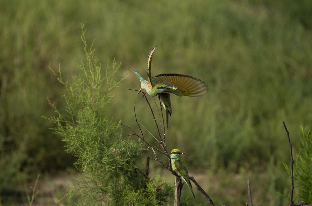 Photograph by MAYANK VERMA