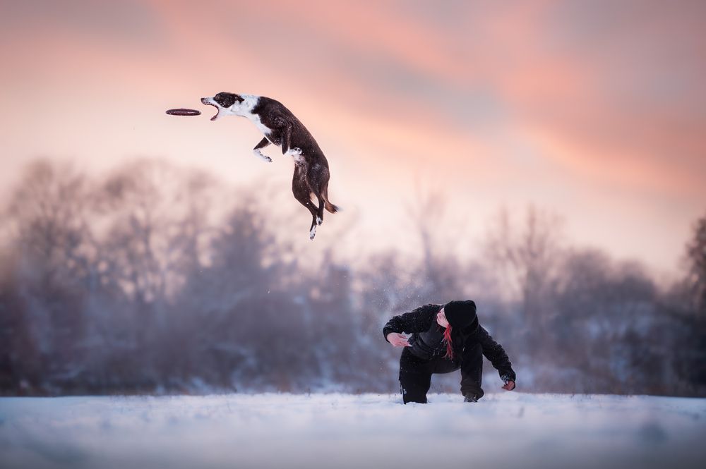 Photograph by Csenge Bálint