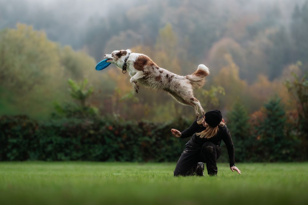 Photograph by Csenge Bálint