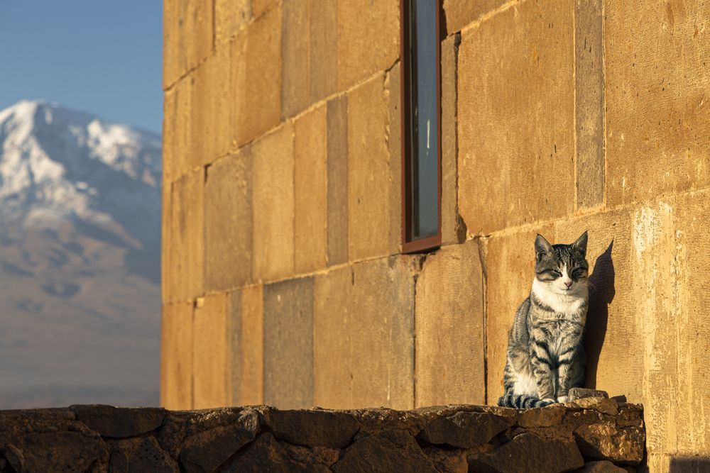 Photograph by Алена Ерошкина