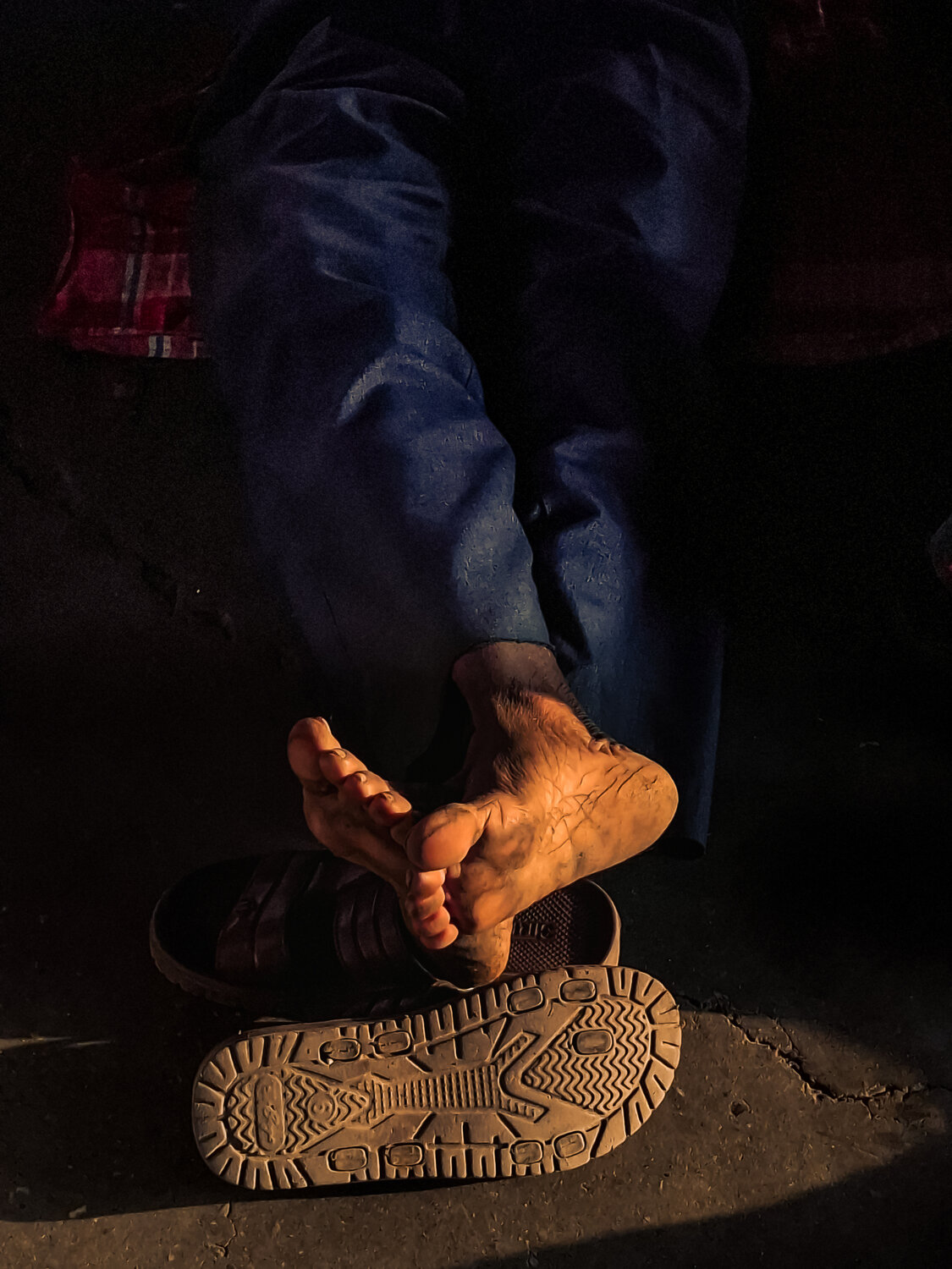 Photo #13146231