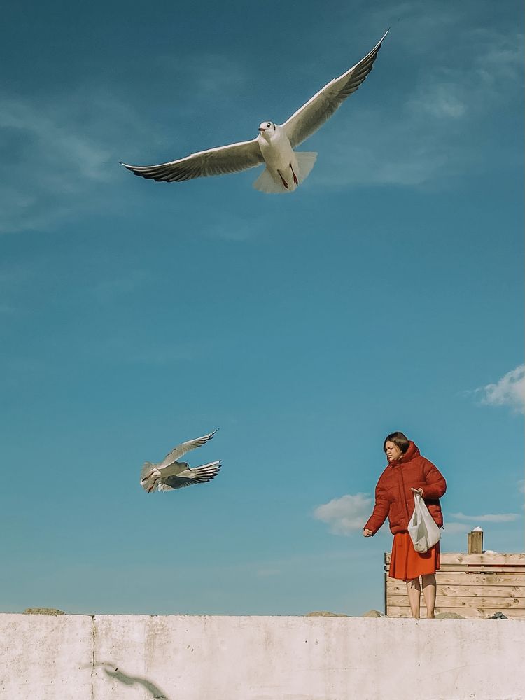 Photograph by Андрей Васильев