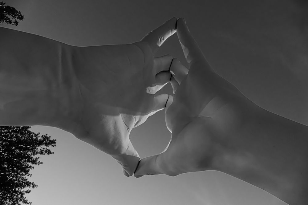 Saggezza, speranza, amore, aiuto, fede e amicizia. Saggezza.