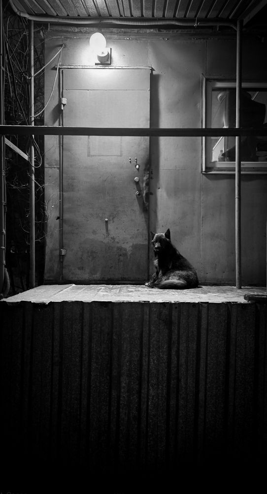 Photograph by Алексей Морозов