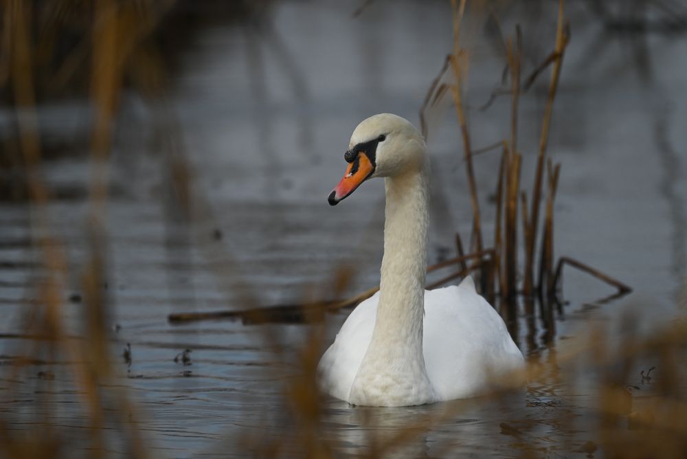 Фотография автора Сергей Сморчков