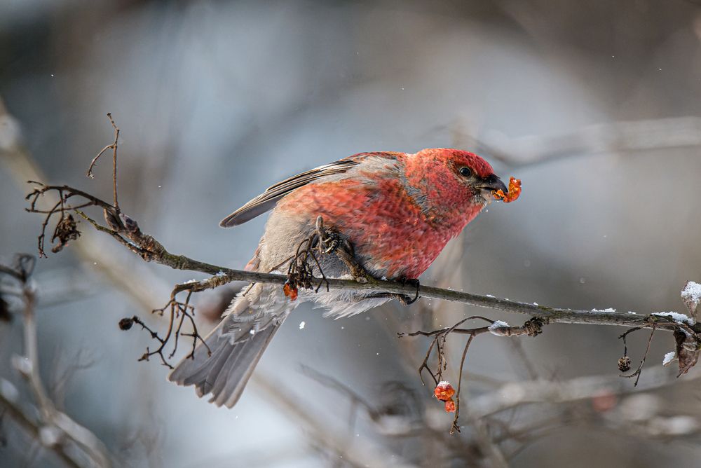Photograph by Сергей Немцев