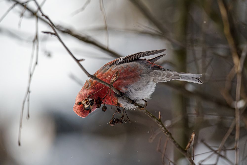 Photograph by Сергей Немцев
